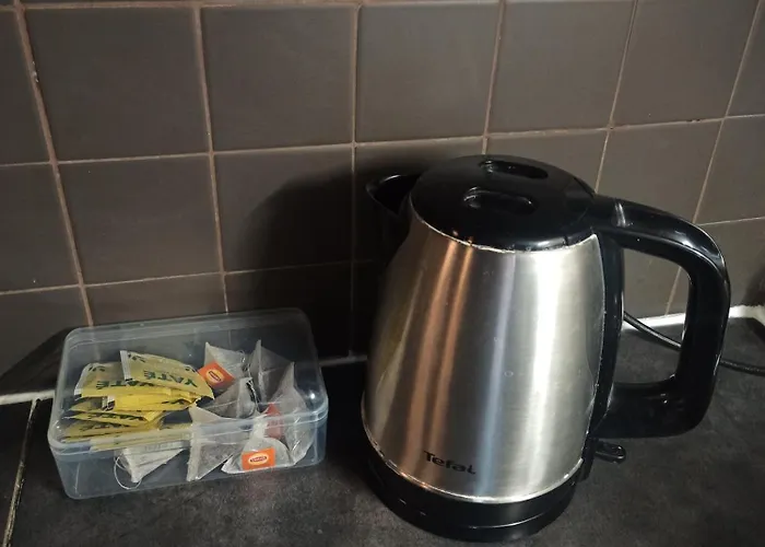 Le Bourguignon - Proche Centre Et Tram