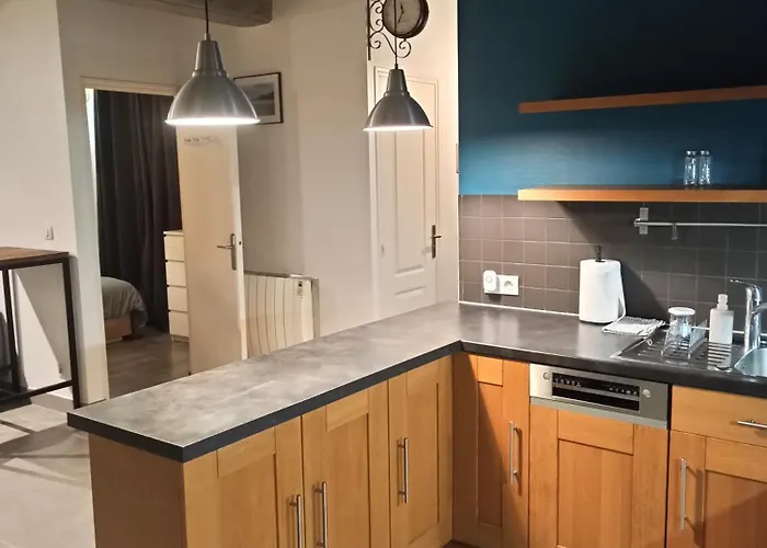 Le Bourguignon - Proche Centre Et Tram Daire *